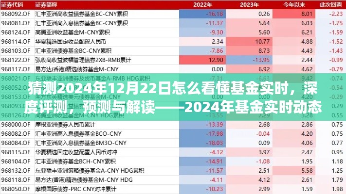 揭秘2024年基金實時動態(tài)洞察系統(tǒng)，深度評測、預(yù)測與解讀的未來趨勢