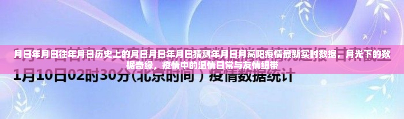 月高陽疫情最新實時數(shù)據(jù)與月光下的數(shù)據(jù)奇緣，歷史視角下的溫情日常與友情紐帶