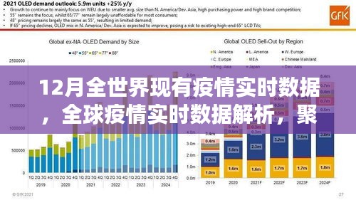 全球疫情實時數(shù)據(jù)解析，聚焦12月疫情動態(tài)與動態(tài)變化