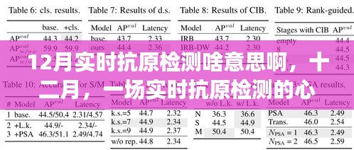 十二月實(shí)時(shí)抗原檢測(cè)，心靈凈化之旅的啟程