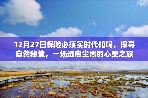 保險(xiǎn)代扣與心靈之旅，探尋自然秘境的遠(yuǎn)離塵囂之旅