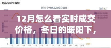 冬陽下的實時成交價格探索之旅，與友共賞奇妙之旅