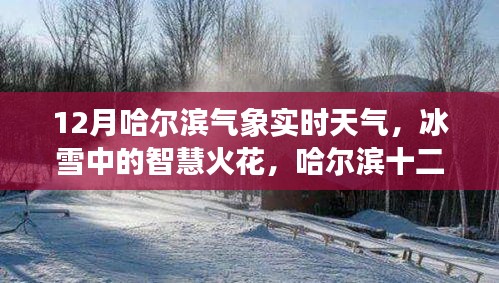 哈爾濱十二月冰雪智慧，氣象實時觀察與啟示錄