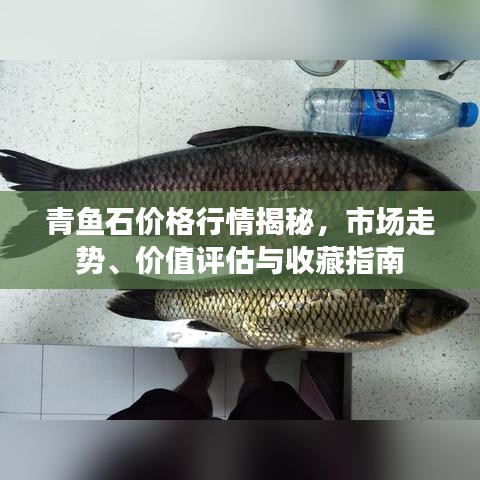 青魚石價格行情揭秘，市場走勢、價值評估與收藏指南