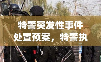 特警突發(fā)性事件處置預(yù)案，特警執(zhí)勤突發(fā)事件視頻 