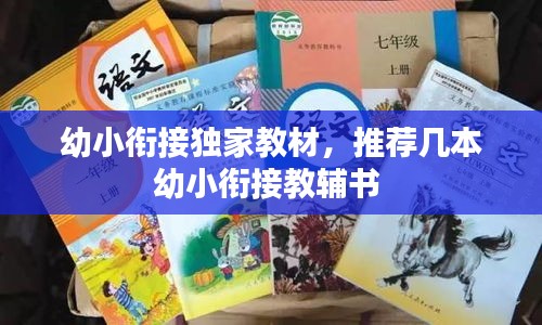 幼小銜接獨(dú)家教材，推薦幾本幼小銜接教輔書(shū) 