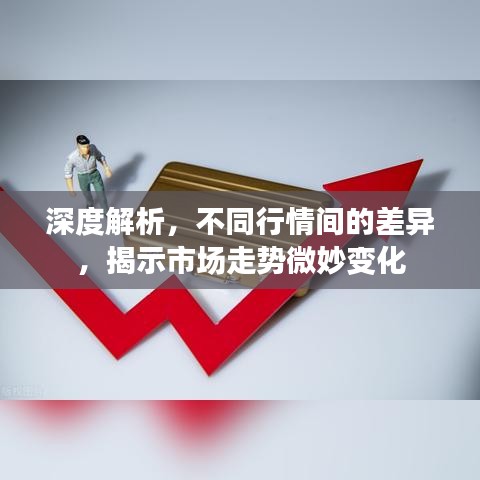 深度解析，不同行情間的差異，揭示市場走勢微妙變化