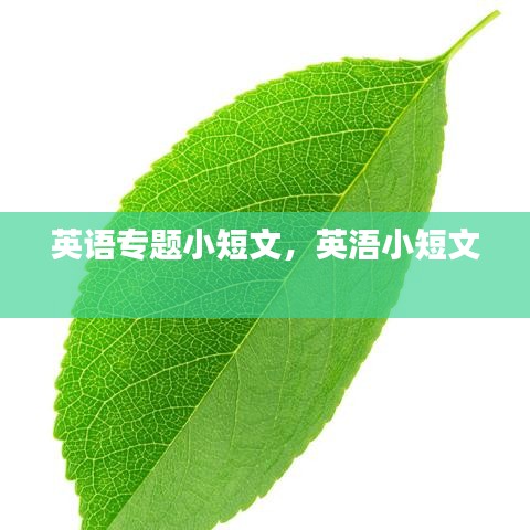 英語專題小短文，英浯小短文 