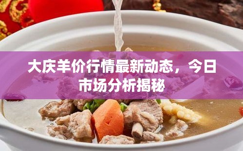 大慶羊價(jià)行情最新動(dòng)態(tài)，今日市場(chǎng)分析揭秘