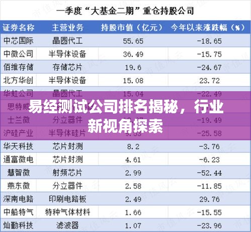 易經(jīng)測(cè)試公司排名揭秘，行業(yè)新視角探索