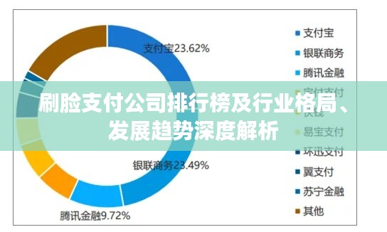 刷臉支付公司排行榜及行業(yè)格局、發(fā)展趨勢深度解析