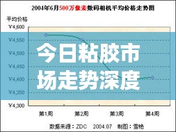 今日粘膠市場走勢深度解析，最新行情報告