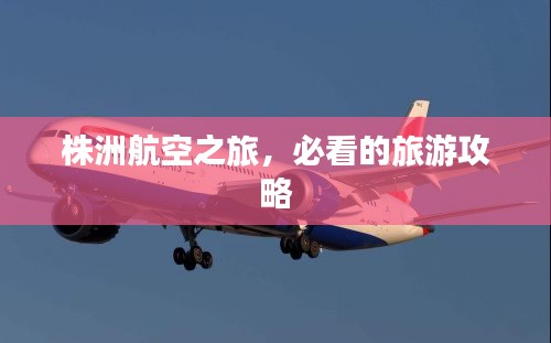 株洲航空之旅，必看的旅游攻略