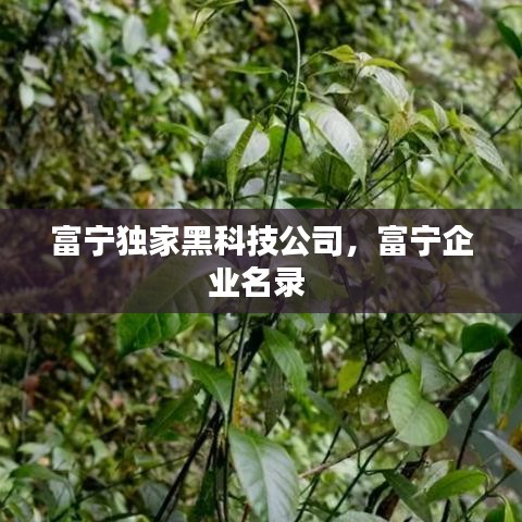 富寧獨(dú)家黑科技公司，富寧企業(yè)名錄 