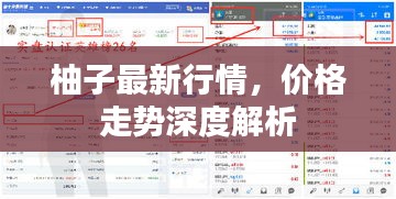 柚子最新行情，價(jià)格走勢深度解析
