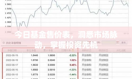 今日基金售價表，洞悉市場脈動，掌握投資先機