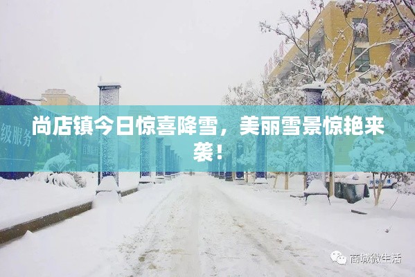 尚店鎮(zhèn)今日驚喜降雪，美麗雪景驚艷來襲！