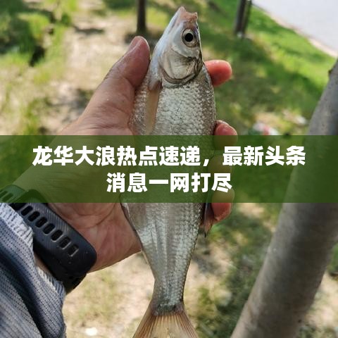 龍華大浪熱點(diǎn)速遞，最新頭條消息一網(wǎng)打盡