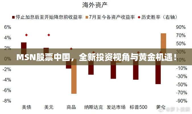 MSN股票中國(guó)，全新投資視角與黃金機(jī)遇！