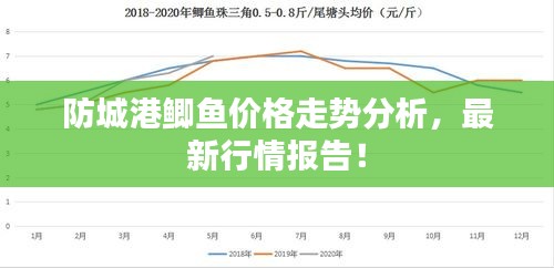 防城港鯽魚價(jià)格走勢(shì)分析，最新行情報(bào)告！