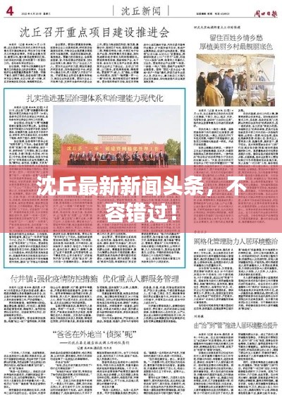 沈丘最新新聞頭條，不容錯過！