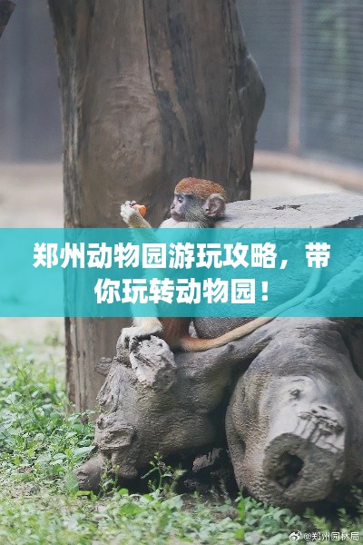 鄭州動(dòng)物園游玩攻略，帶你玩轉(zhuǎn)動(dòng)物園！