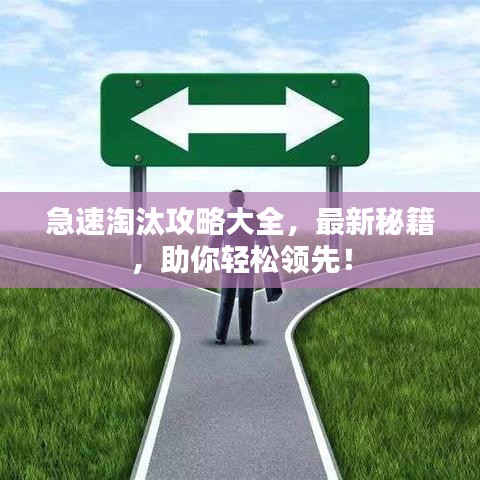 急速淘汰攻略大全，最新秘籍，助你輕松領(lǐng)先！