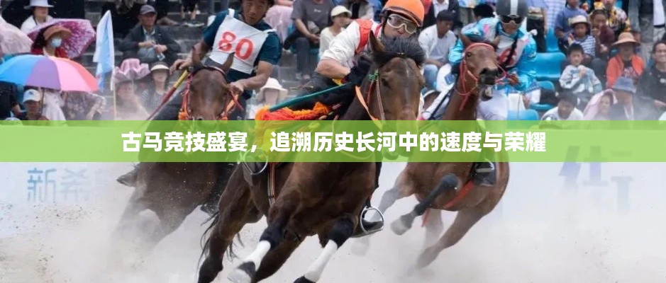 古馬競技盛宴，追溯歷史長河中的速度與榮耀