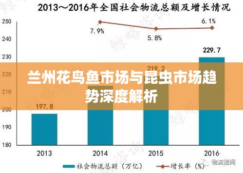 蘭州花鳥魚市場與昆蟲市場趨勢(shì)深度解析