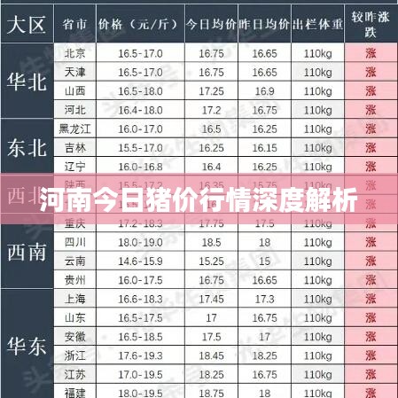 河南今日豬價行情深度解析