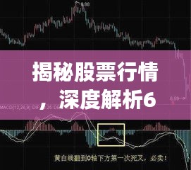 揭秘股票行情，深度解析600761走勢