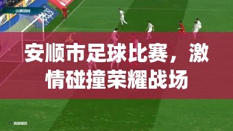 安順市足球比賽，激情碰撞榮耀戰(zhàn)場