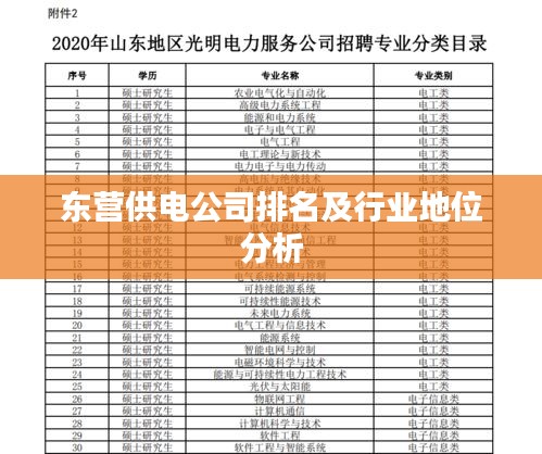 東營(yíng)供電公司排名及行業(yè)地位分析