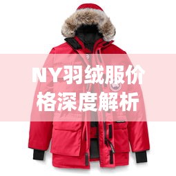 NY羽絨服價格深度解析，了解真實價格，選購更明智！