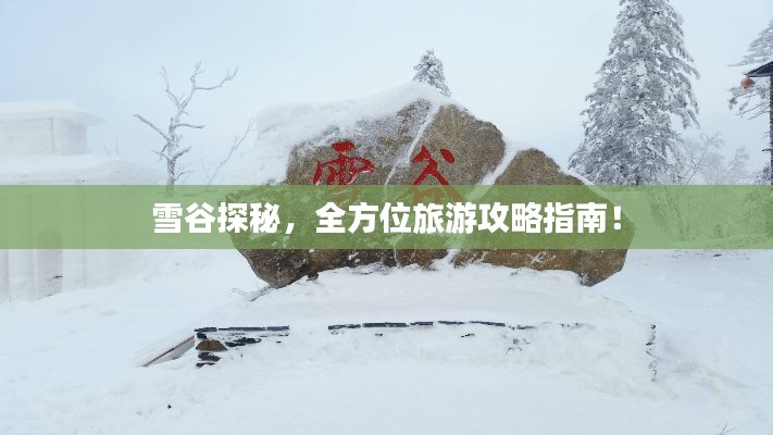 雪谷探秘，全方位旅游攻略指南！