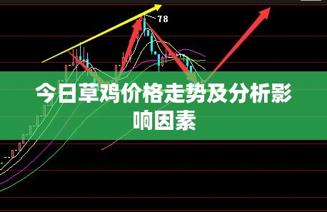 今日草雞價格走勢及分析影響因素