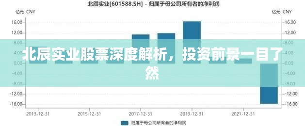 北辰實(shí)業(yè)股票深度解析，投資前景一目了然