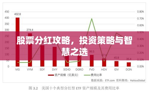 股票分紅攻略，投資策略與智慧之選