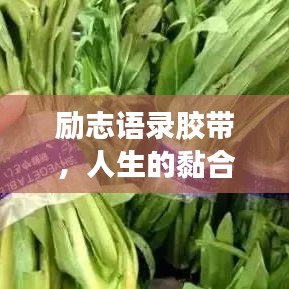 勵志語錄膠帶，人生的黏合劑，引領(lǐng)你走向成功之路