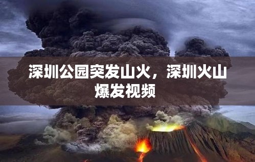 深圳公園突發(fā)山火，深圳火山爆發(fā)視頻 