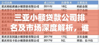 三亞小額貸款公司排名及市場深度解析，誰是行業(yè)佼佼者？