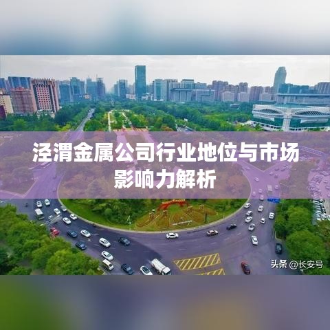 涇渭金屬公司行業(yè)地位與市場(chǎng)影響力解析