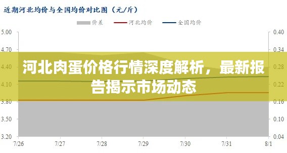 河北肉蛋價格行情深度解析，最新報告揭示市場動態(tài)