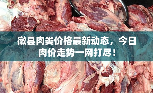 徽縣肉類價(jià)格最新動(dòng)態(tài)，今日肉價(jià)走勢(shì)一網(wǎng)打盡！