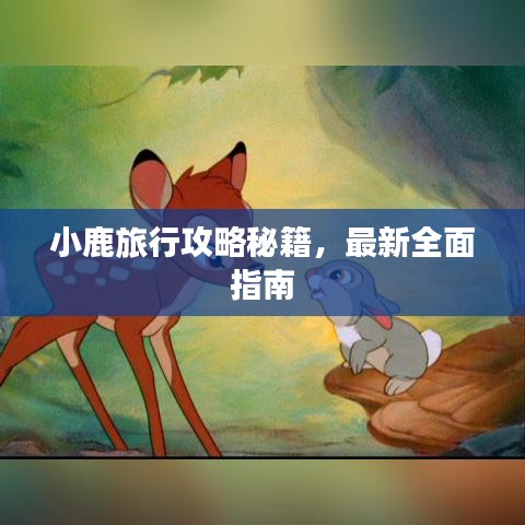 小鹿旅行攻略秘籍，最新全面指南