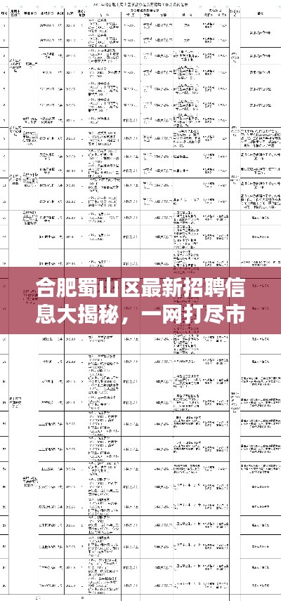 合肥蜀山區(qū)最新招聘信息大揭秘，一網(wǎng)打盡市區(qū)各大企業(yè)職位空缺