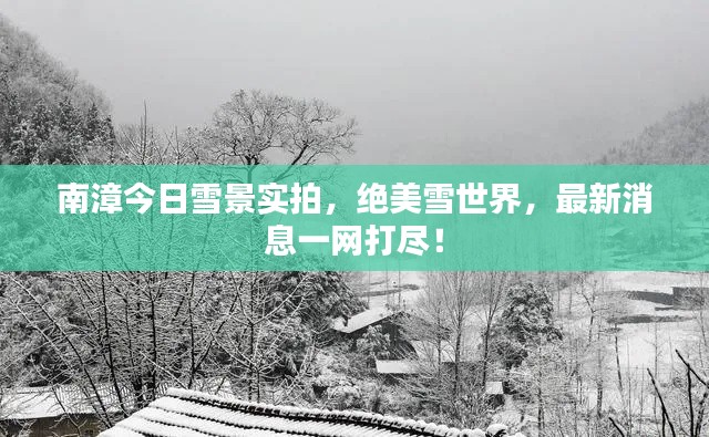 南漳今日雪景實(shí)拍，絕美雪世界，最新消息一網(wǎng)打盡！