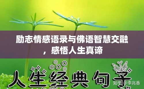 勵(lì)志情感語錄與佛語智慧交融，感悟人生真諦