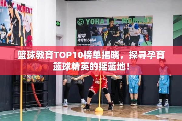 籃球教育TOP10榜單揭曉，探尋孕育籃球精英的搖籃地！