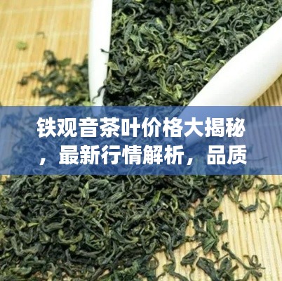 鐵觀音茶葉價(jià)格大揭秘，最新行情解析，品質(zhì)與價(jià)格雙重保障！